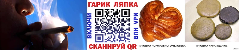 Купить где  Новый Уренгой  ГАШ Premium 